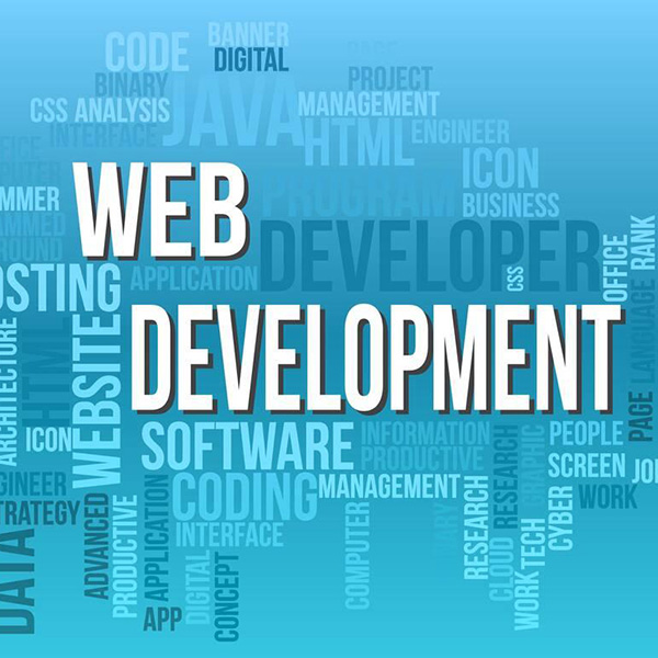 Portfolio image